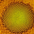 1920flower_1 (22)