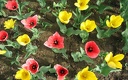 1920flower_1 (37)