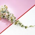 1920flower_1 (49)