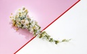 1920flower_1 (49)