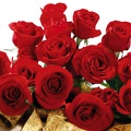 1920flower_1 (51)