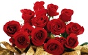 1920flower_1 (51)