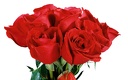 1920flower_1 (52)