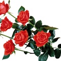 1920flower_1 (54)