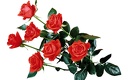 1920flower_1 (54)