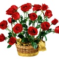 1920flower_1 (57)