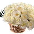 1920flower_1 (61)