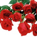 1920flower_1 (62)