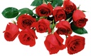 1920flower_1 (62)