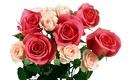 1920flower_1 (64)