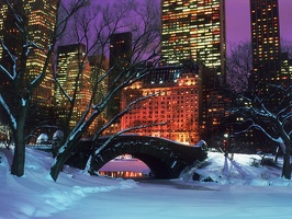 Central Park in Winter, New York City