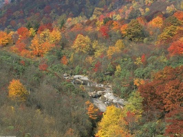 Changing Seasons, Smoky Mountains National Park Tennessee