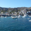 Catalina Island, USA
