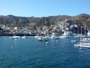 Catalina Island, USA