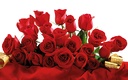 1920flower_1 (60)