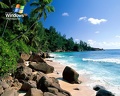 IslandShore