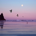 Cannon Beach, Oregon