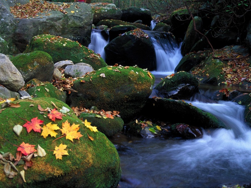 20100405125643-dabb3283.jpg
