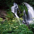 Cascading Waterfall, Umpqua National Forest, Oregon