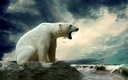 Animals.xGhost.1920x1200 (17)